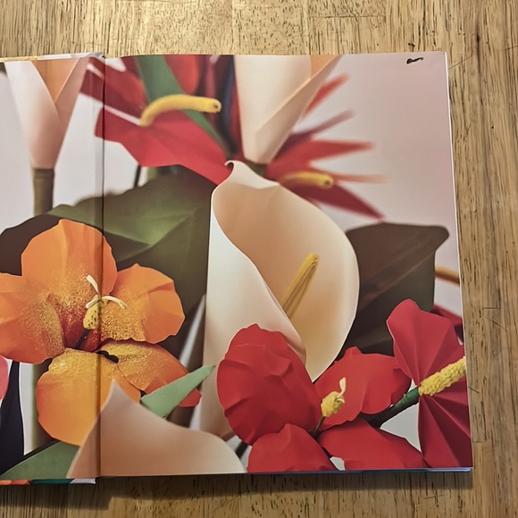 The Art of Paper Flowers By Bobby Pearce - Picture 3 of 12